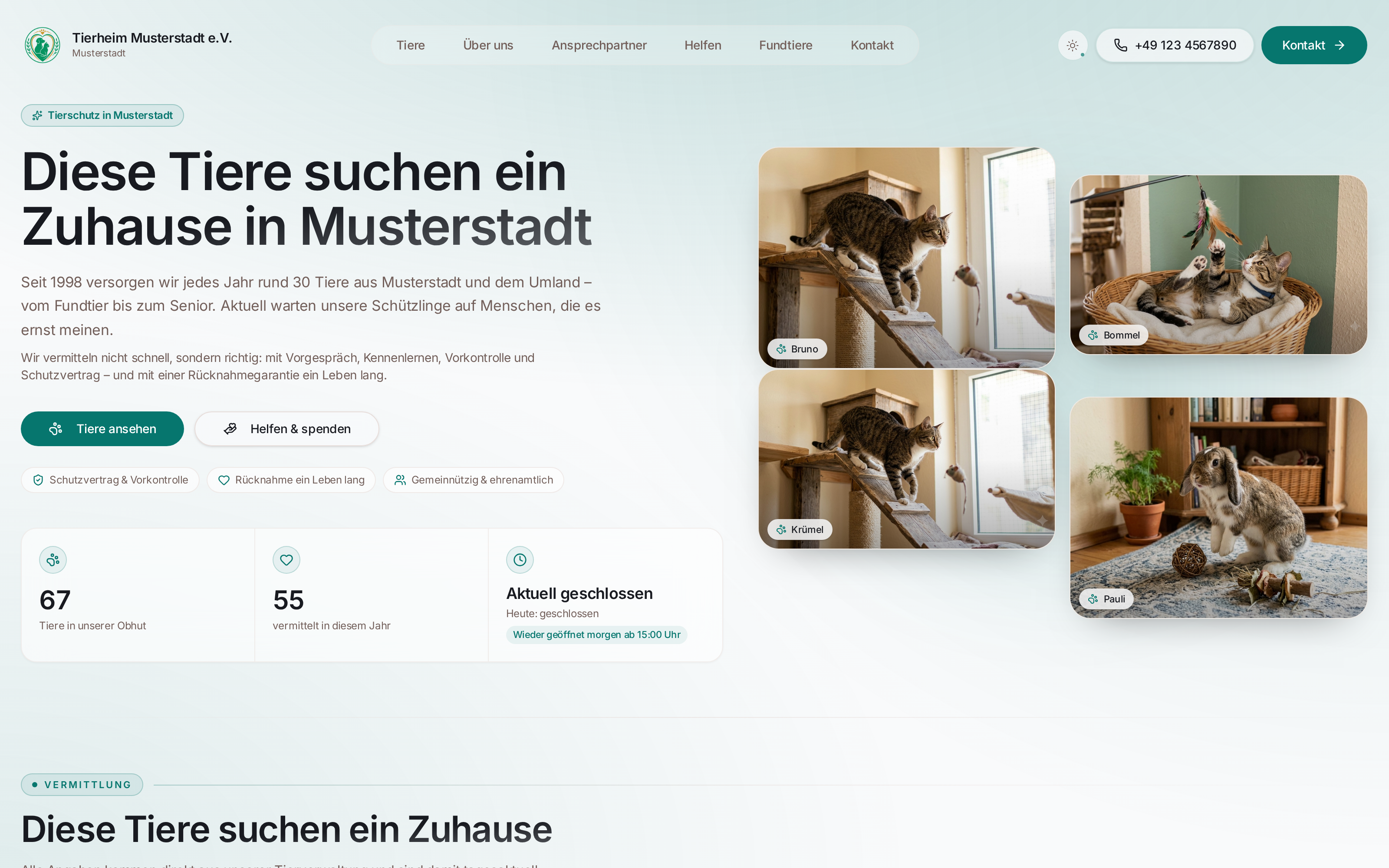 Öffentliche Vermittlungsseite des Tierheim Musterstadt e.V. am Laptop